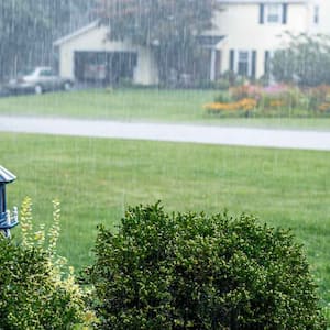 A yard with lawn on a rainy day