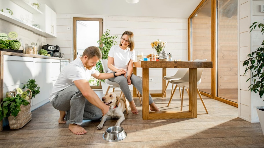 A young couple playing with their dog in the kitchen of their country house