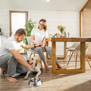 A young couple playing with their dog in the kitchen of their country house