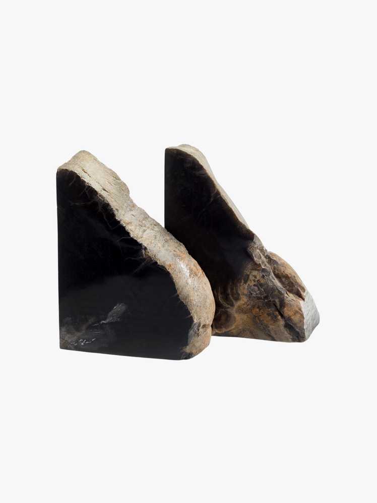 Balfern Petrified Wood Bookends