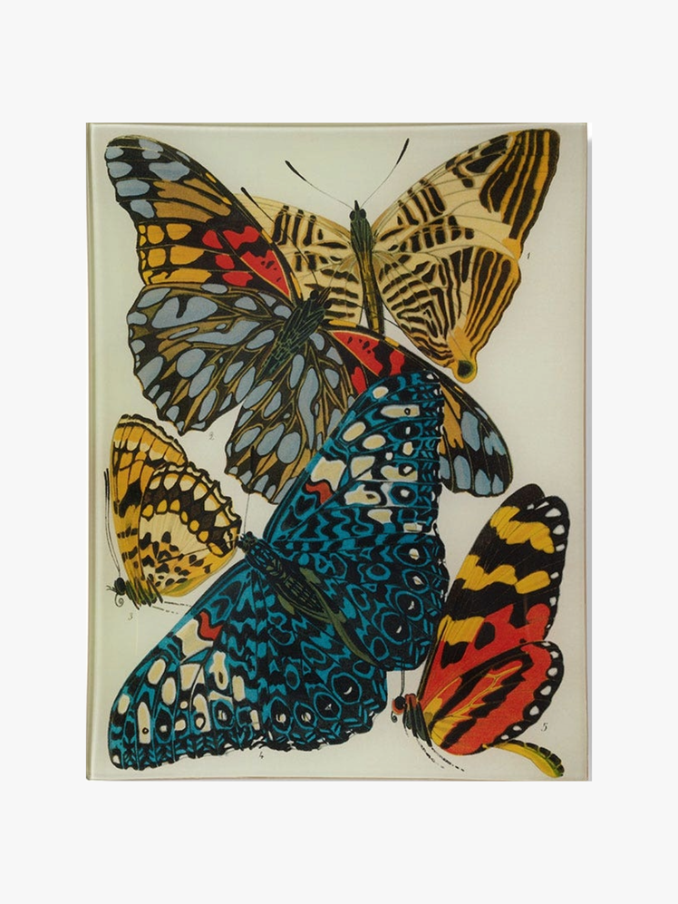 Image may contain Art Animal Butterfly Insect Invertebrate Bird and Monarch