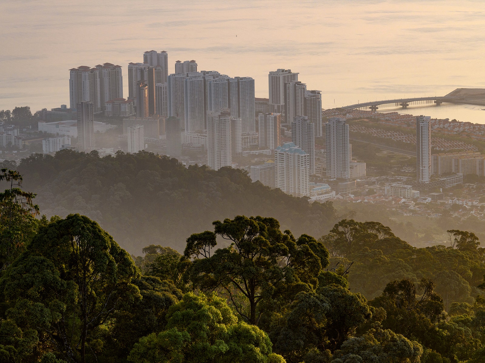 What Happened to Forest City, an Abandoned $100 Billion Development in Malaysia?