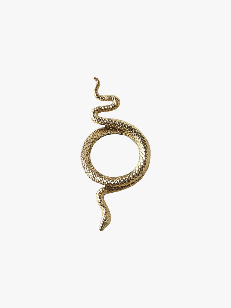 Magnifying glass with a golden snake sculpture wrapped around it.