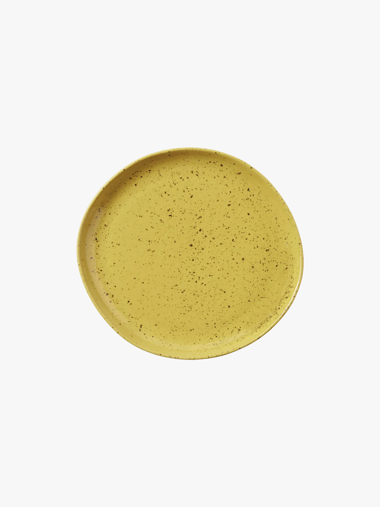 Set of 4 stoneware dinner plates with a cement glaze finish.