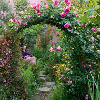 Tour Artist Mimi Lauter's Magical Los Angeles Garden