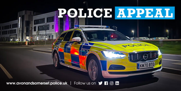 Police car at night with lights on