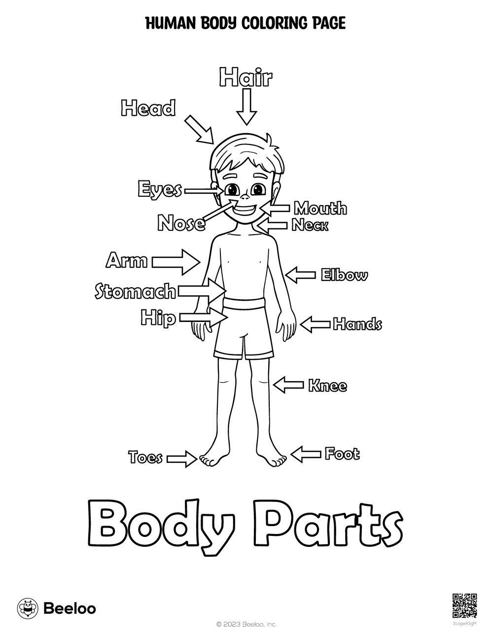 Human Body Coloring Page