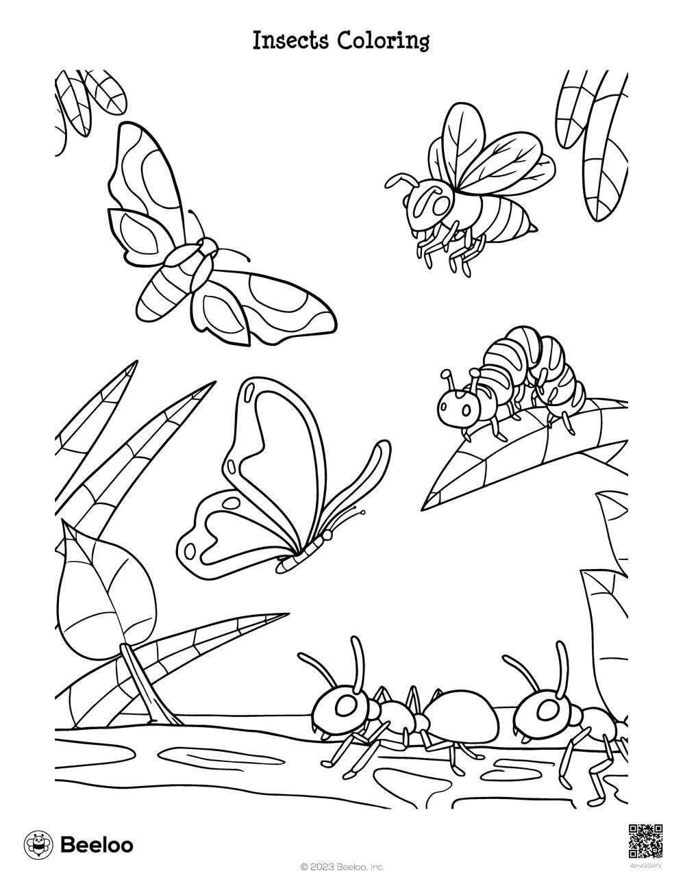 Insects Coloring