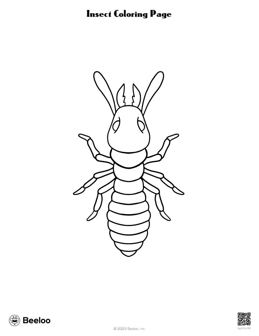 Insect Coloring Page