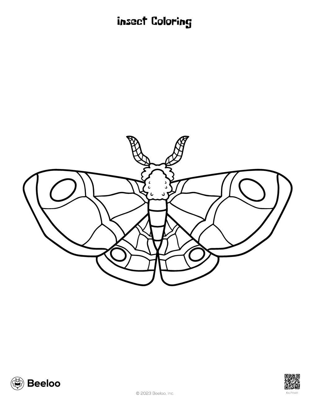 Insect Coloring