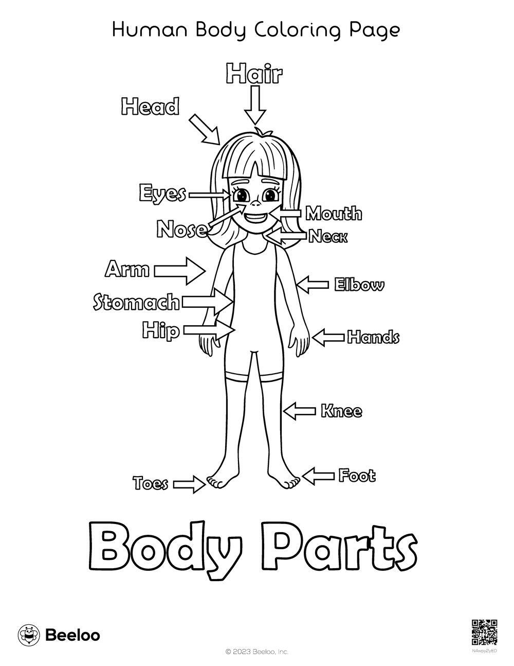 Human Body Coloring Page