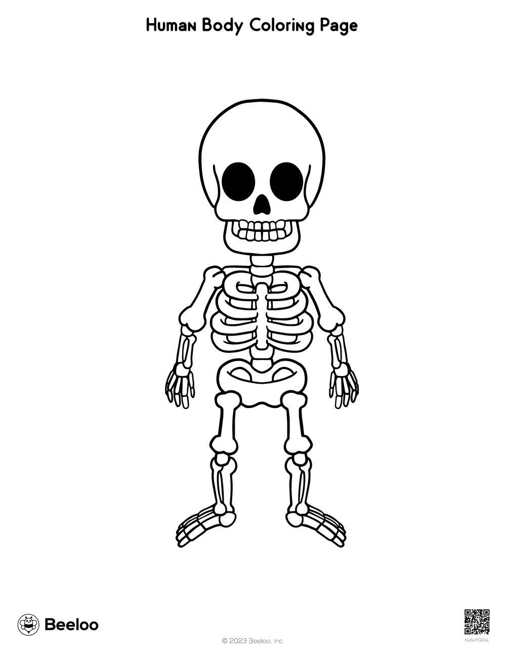 Human Body Coloring Page