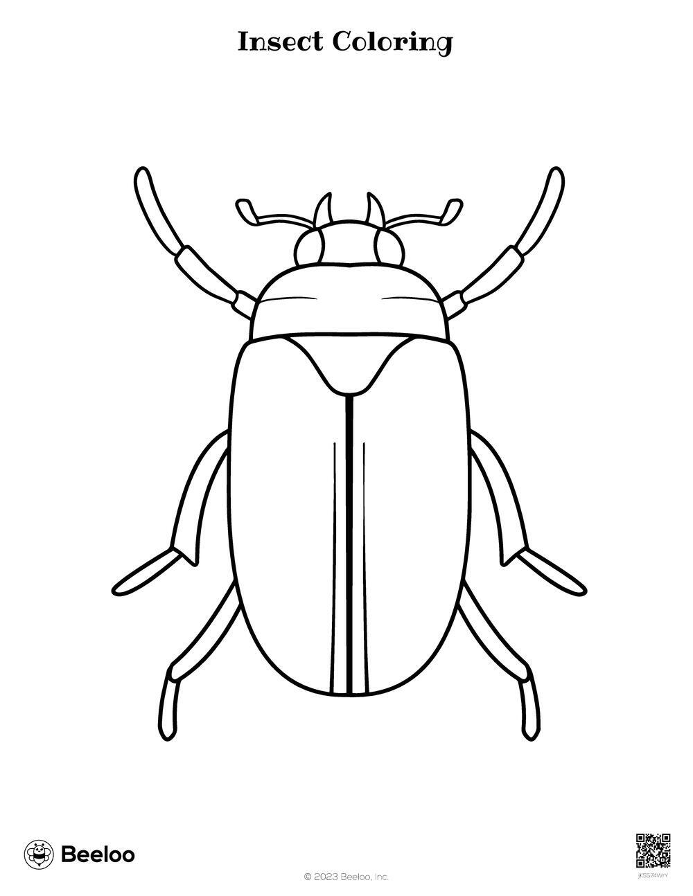 Insect Coloring