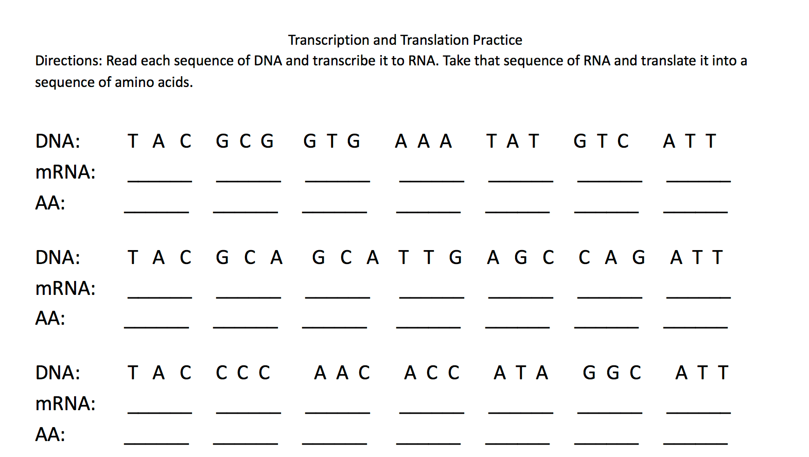 Transcription And Translation Practice Worksheets