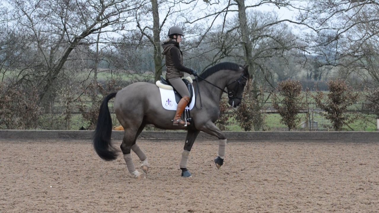 scp CNN Equestrian Dressage Guide_00013109.jpg