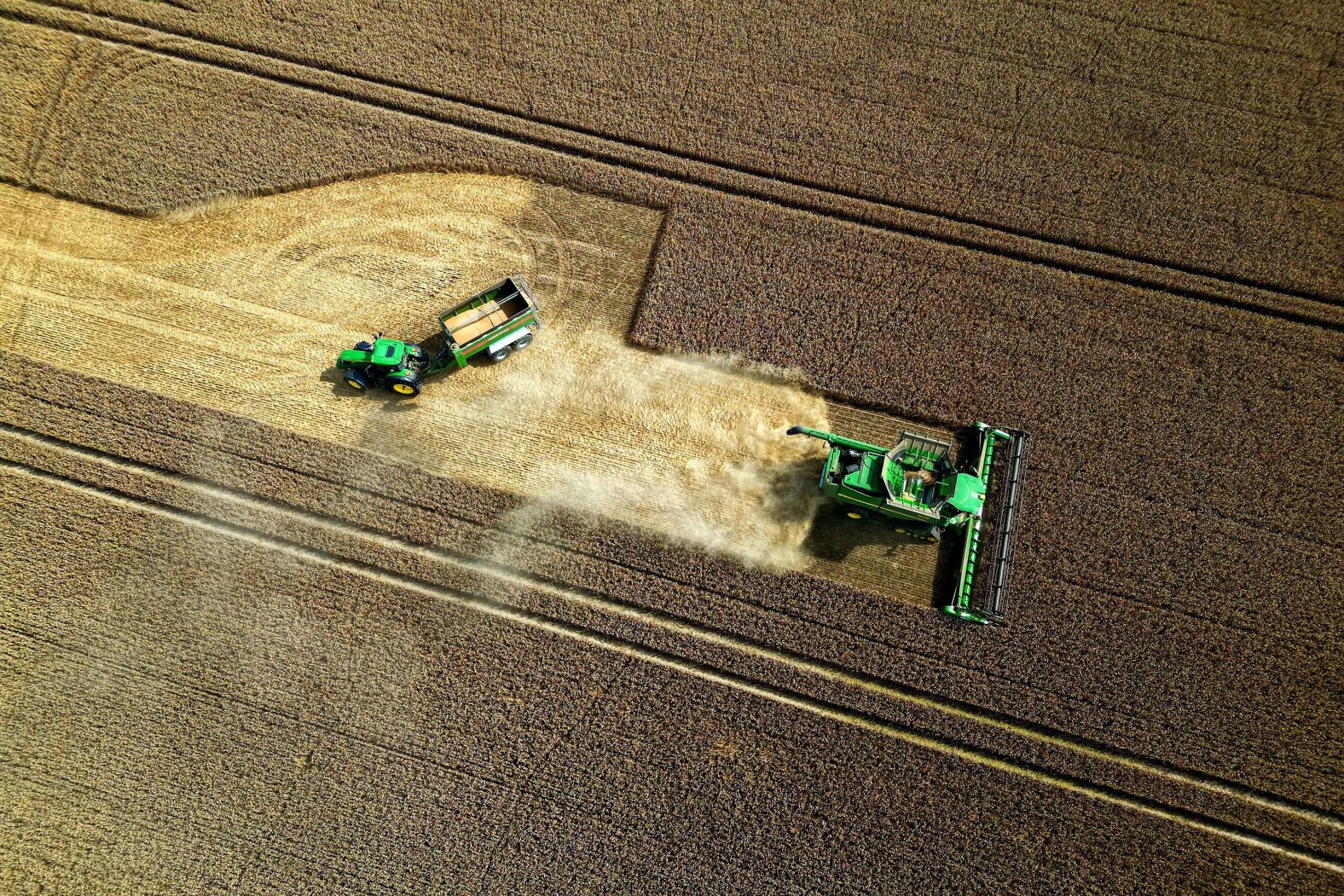 A farmer harvests wheat in Stöffin, Germany, on Sunday, July 21.