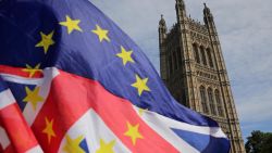 Pro-EU demonstrators wave an mixed EU and Union flag as they protest against Brexit, outside of the Houses of Parliament in central London on June 11, 2018. - After a rollercoaster week of Brexit rows within her government and with Brussels, British Prime Minister Theresa May will on Tuesday seek to avoid another setback in a long-awaited showdown with parliament. MPs in the House of Commons will vote on a string of amendments to a key piece of Brexit legislation that could force the government's hand in the negotiations with the European Union. (Photo by Daniel LEAL-OLIVAS / AFP)        (Photo credit should read DANIEL LEAL-OLIVAS/AFP/Getty Images)