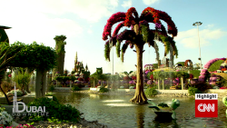 Dubai flower garden leisure spc intl._00011303.png