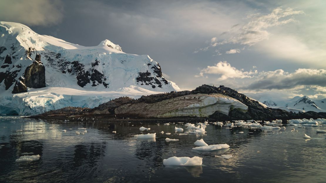 A penguin colony on the shoreline of the Antarctic Peninsula.