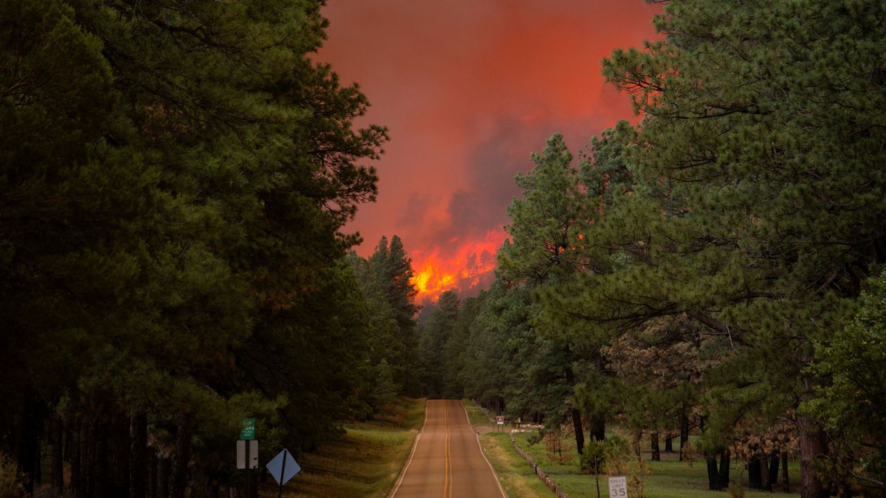 Smoke pluming from the South Fork Fire rises above the tree line as the fire progresses from the Mescalero Apache Reservation to the Lincoln National Forest causing mandatory evacuations in Ruidoso, New Mexico, U.S. June 17, 2024.  REUTERS/Kaylee Greenlee Beal 
