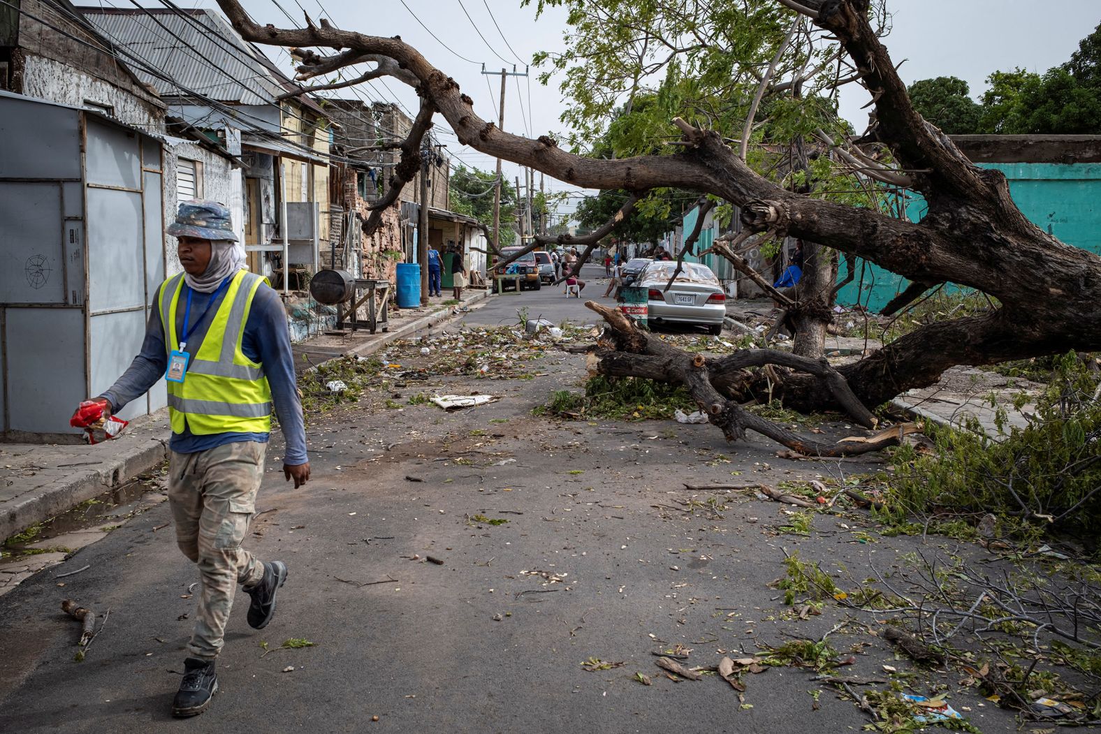 A man walks past a fallen tree in Kingston, Jamaica, on Thursday.