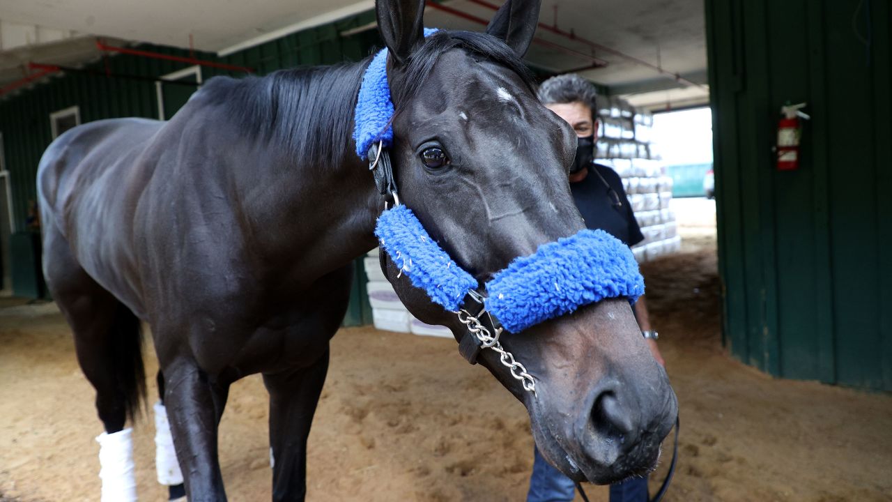 BALTIMORE, MARYLAND - MAY 10: Kentucky Derby winner Medina Spirit is walked in the barn by assistant trainer Jimmy Barnes after arriving at Pimlico Race Course for the upcoming Preakness Stakes on May 10, 2021 in Baltimore, Maryland. (Photo by Rob Carr/Getty Images)