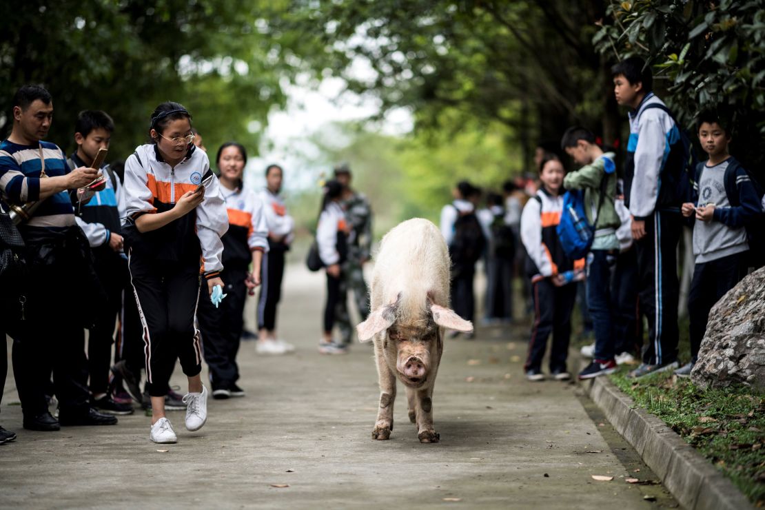 Zhu Jianqing walks with school children during a commemoration ceremony on April 25, 2018. 