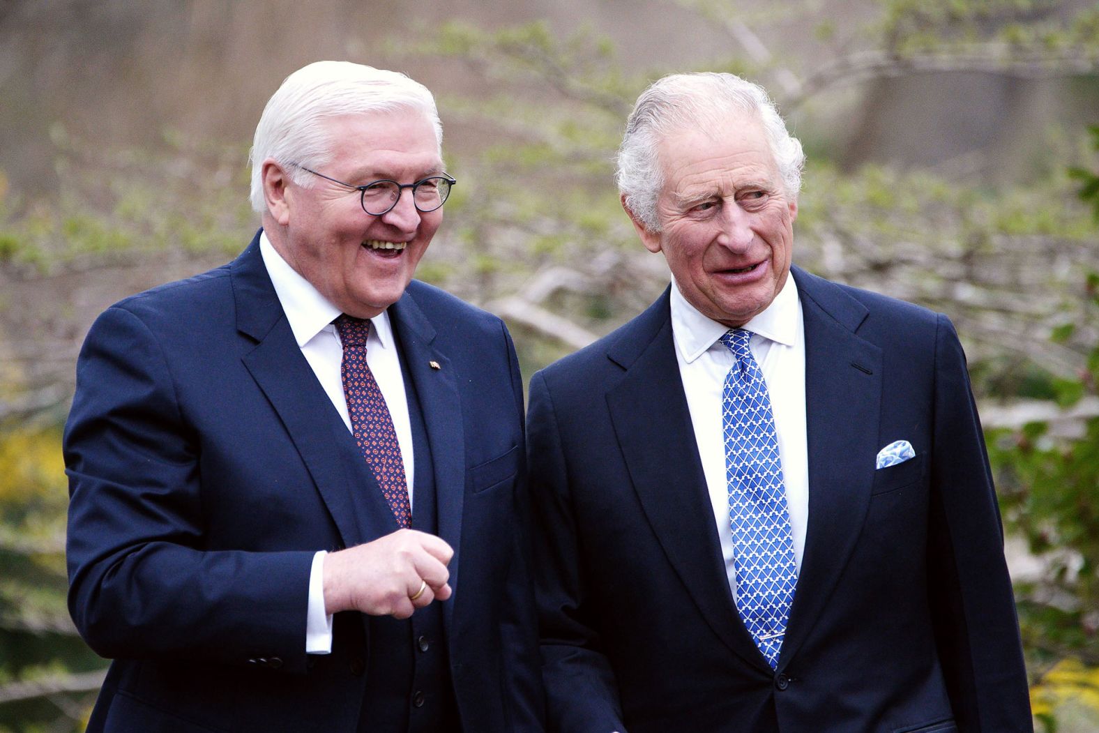 The King walks with Steinmeier after planting a tree at Bellevue Palace.