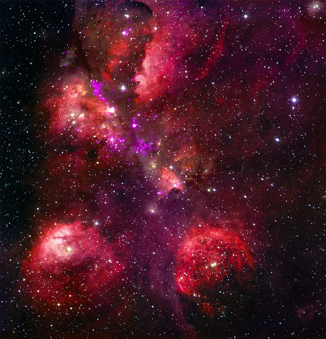 The Cat's Paw Nebula is a star-forming region in the Milky Way galaxy. Neon purple dots near the heart of the nebula represent young stars.