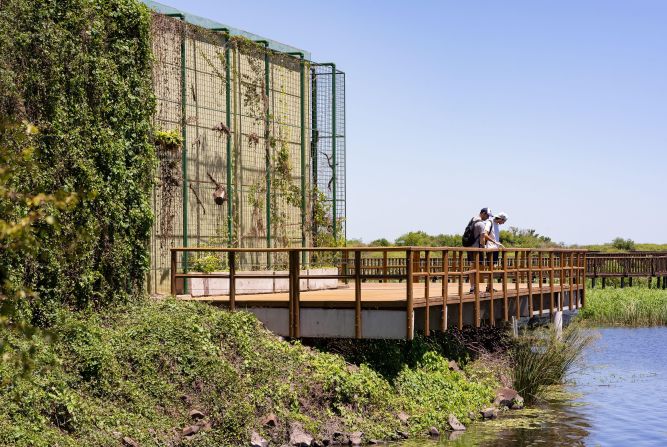 	 COLONIA CARLOS PELLEGRINI, CORRIENTES, ARGENTINA - NOVEMBER 20, 2021: Two tourists observe the wildlife on the wooden walkway of the center of interpretation of Ibera Provincial Park, located in Laguna Iberá Gate in the small town of Colonia Carlos Pellegrini, Corrientes, Argentina