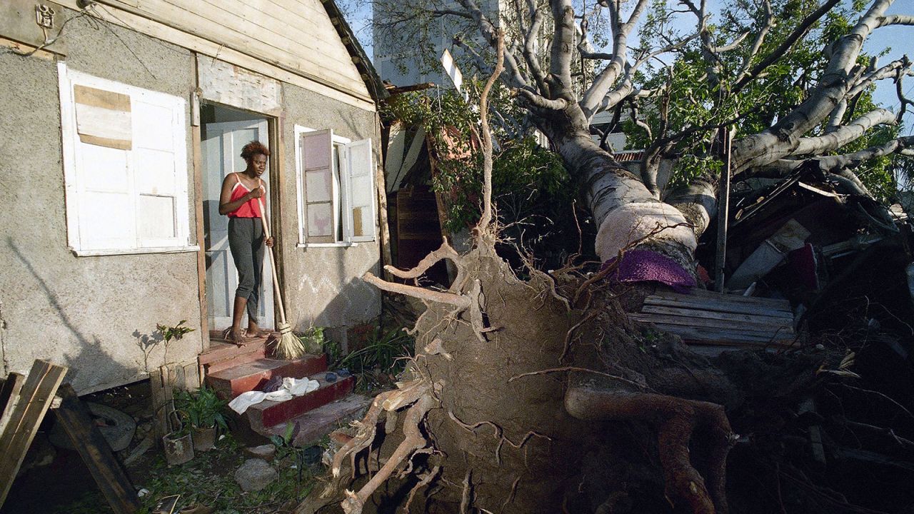 A woman stands at her front door looking at a huge tree on Sept. 14, 1988, that was felled by hurricane Gilbert as it crossed Jamaica.