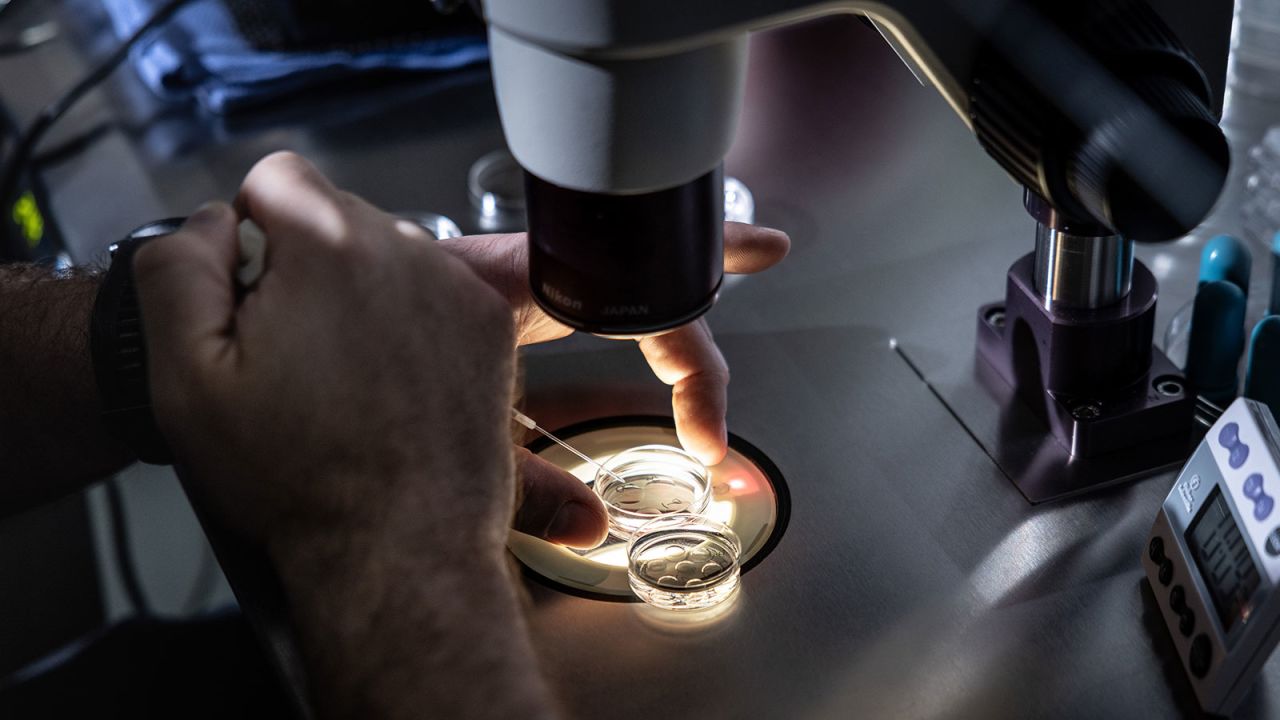 A senior embryologist at West Coast Fertility Centers in Fountain Valley, California, adds media to petri dishes containing embryos, before freezing the embryos, on February 29.