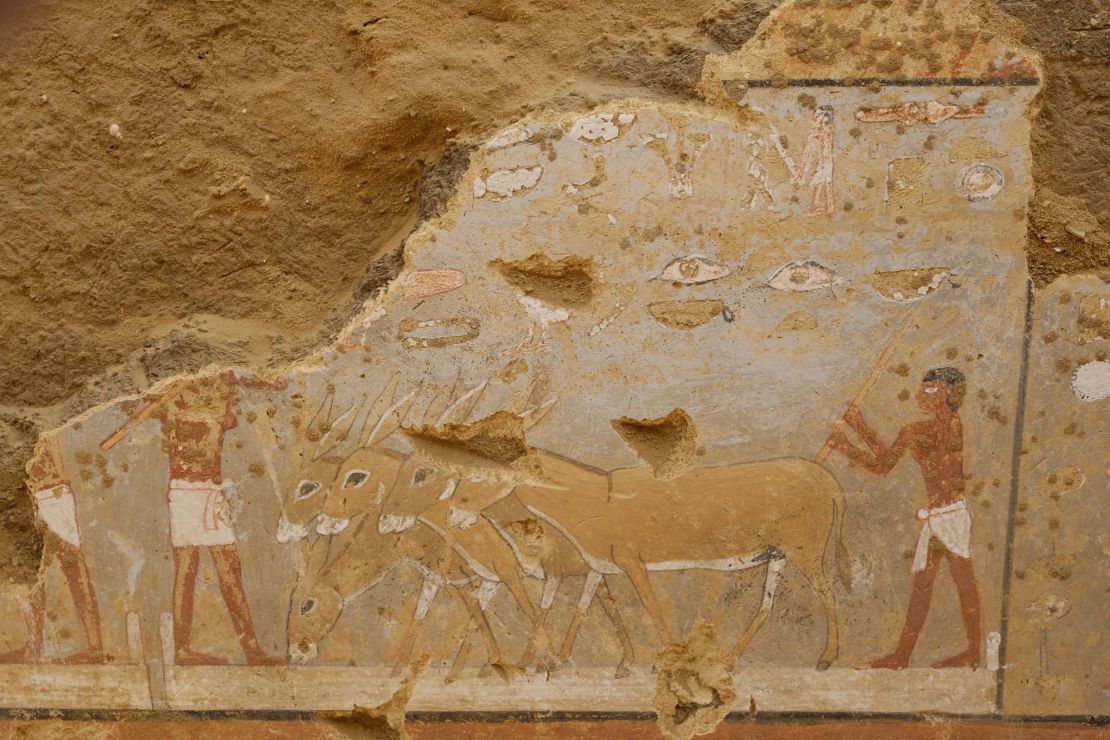 Colorful paintings of daily life uncovered in 4,300-year-old Egyptian ...