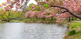 Charles River Esplanade Park Boston