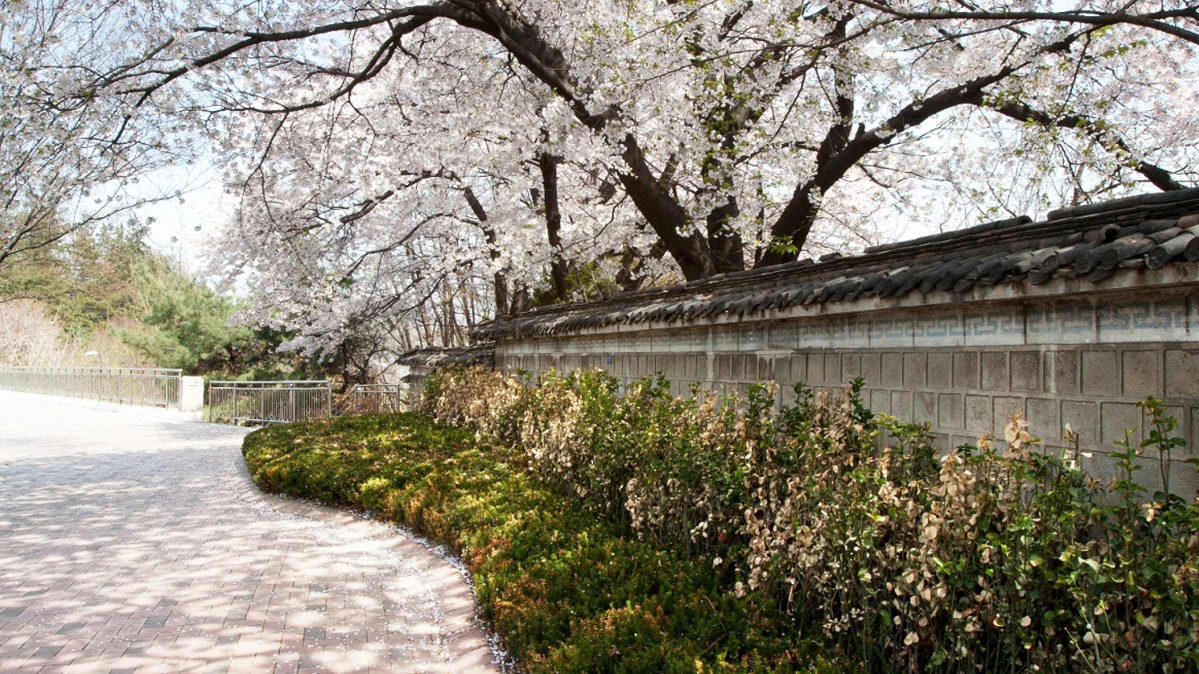 Grand Hyatt Seoul