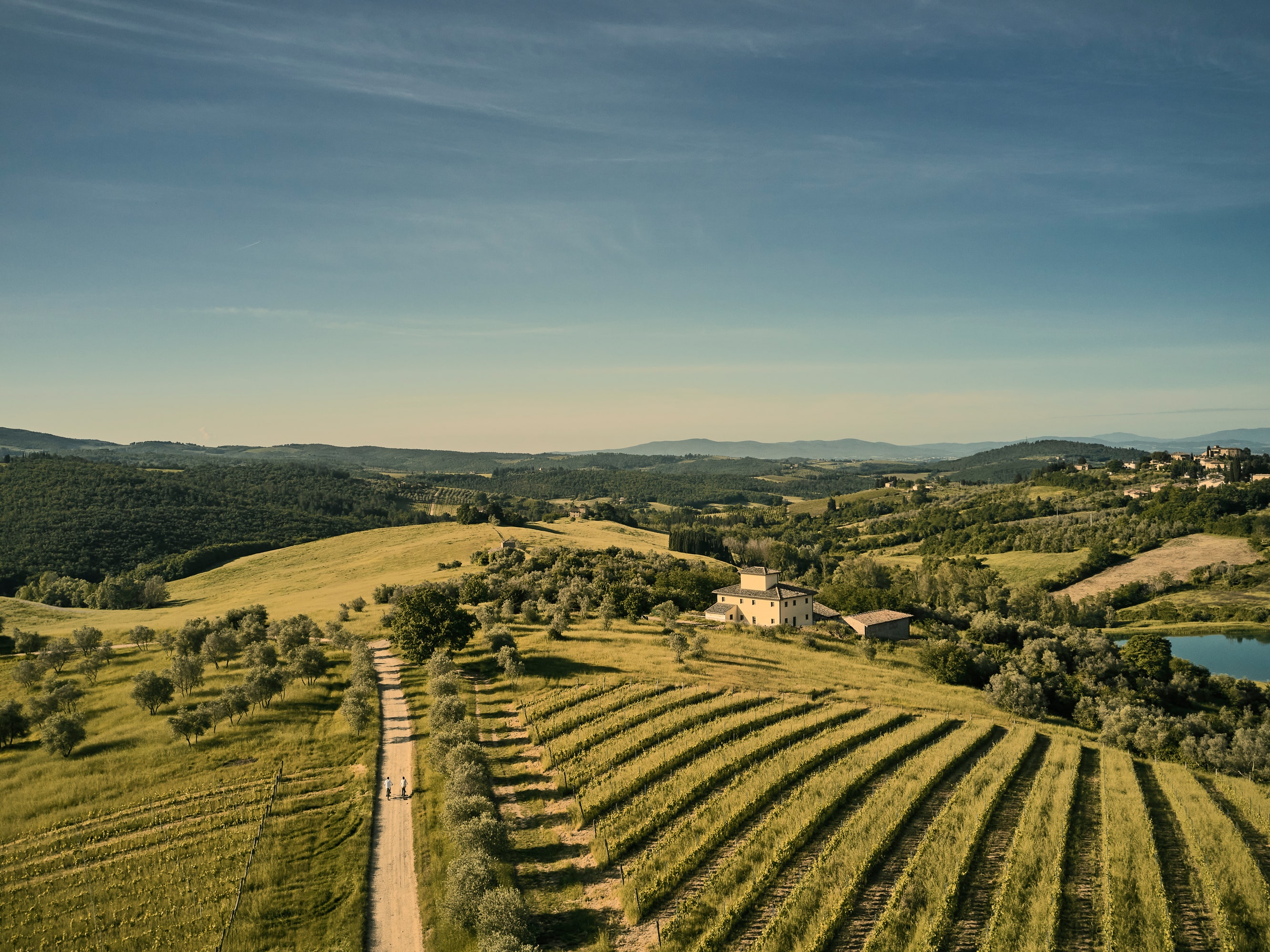 After a Pandemic Slump, the Hunt for Truffles Is On Once Again