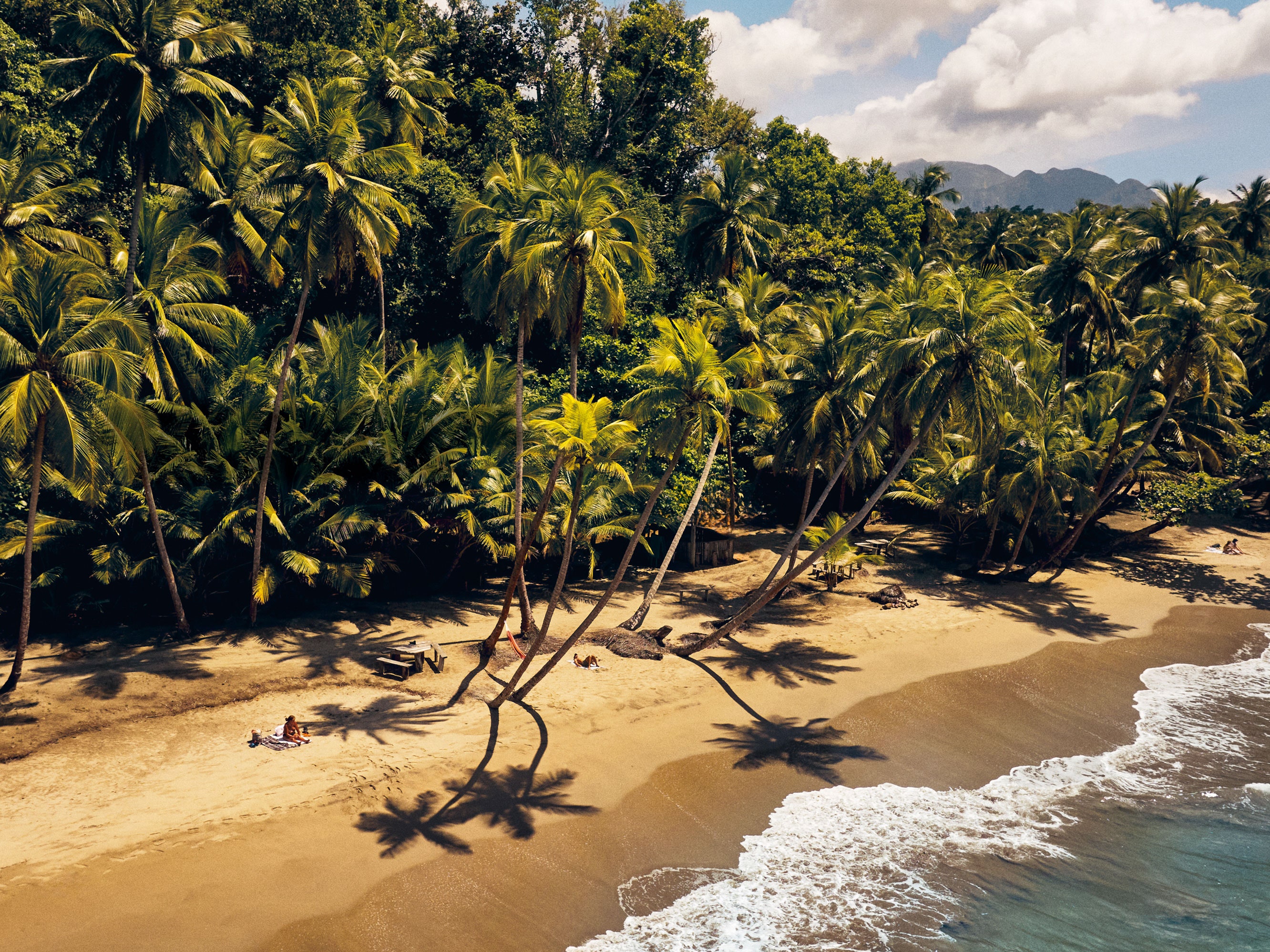 This Caribbean Island Is Back From the Brink&-and Ready To Share Its Treasures With the World