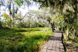 Not every nature walk starts with someone telling you to watch out for the snakes in the trees. At Jean Lafitte national...