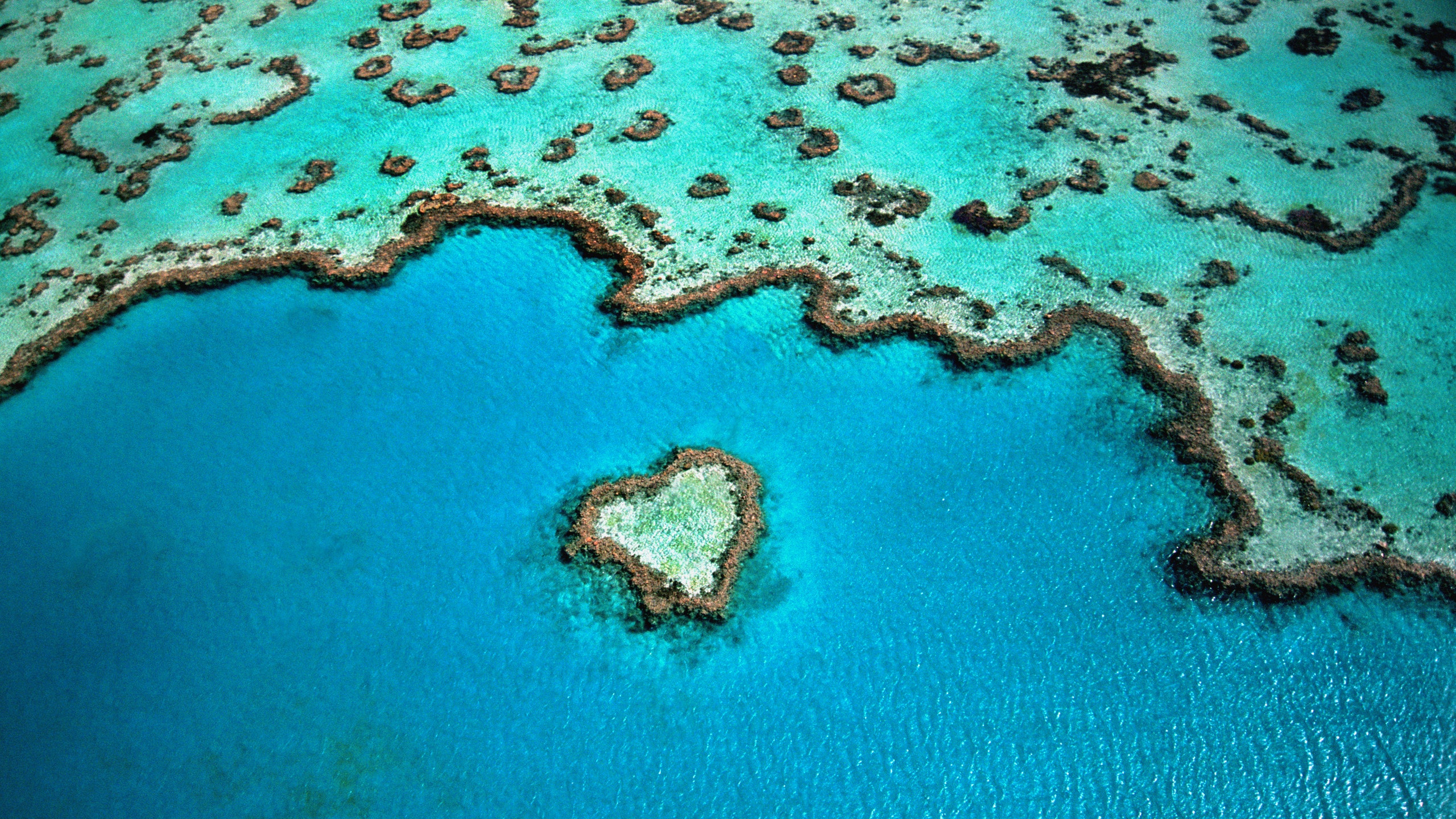 Australia Great Barrier Reef