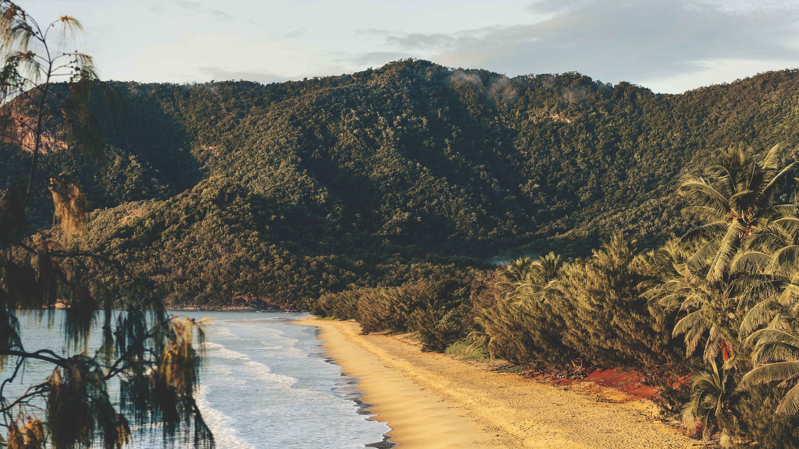 Escape Routes Australia's Daintree Rainforest