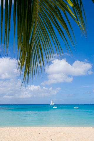 White Sand Beach in barbados