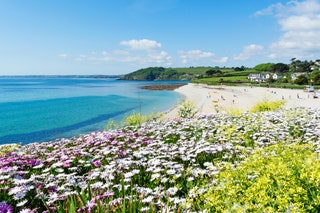 beach in Falmouth Cornwall