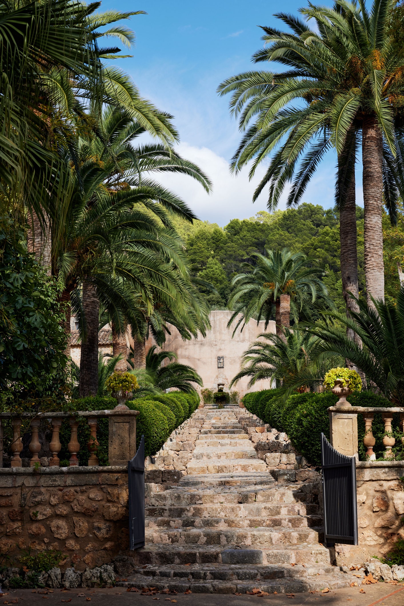 Stone pathway with arch trees of Jardines de Alfabia garden in Mallorca Spain vertical shot