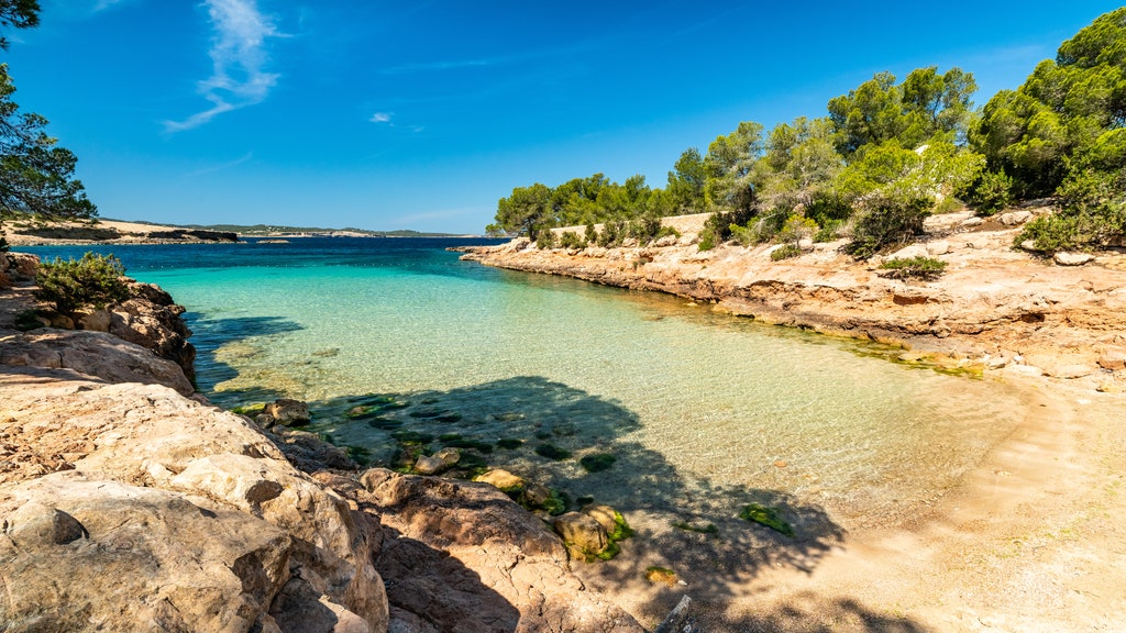 Diese 18 Strände auf Ibiza sind alle einen Besuch wert