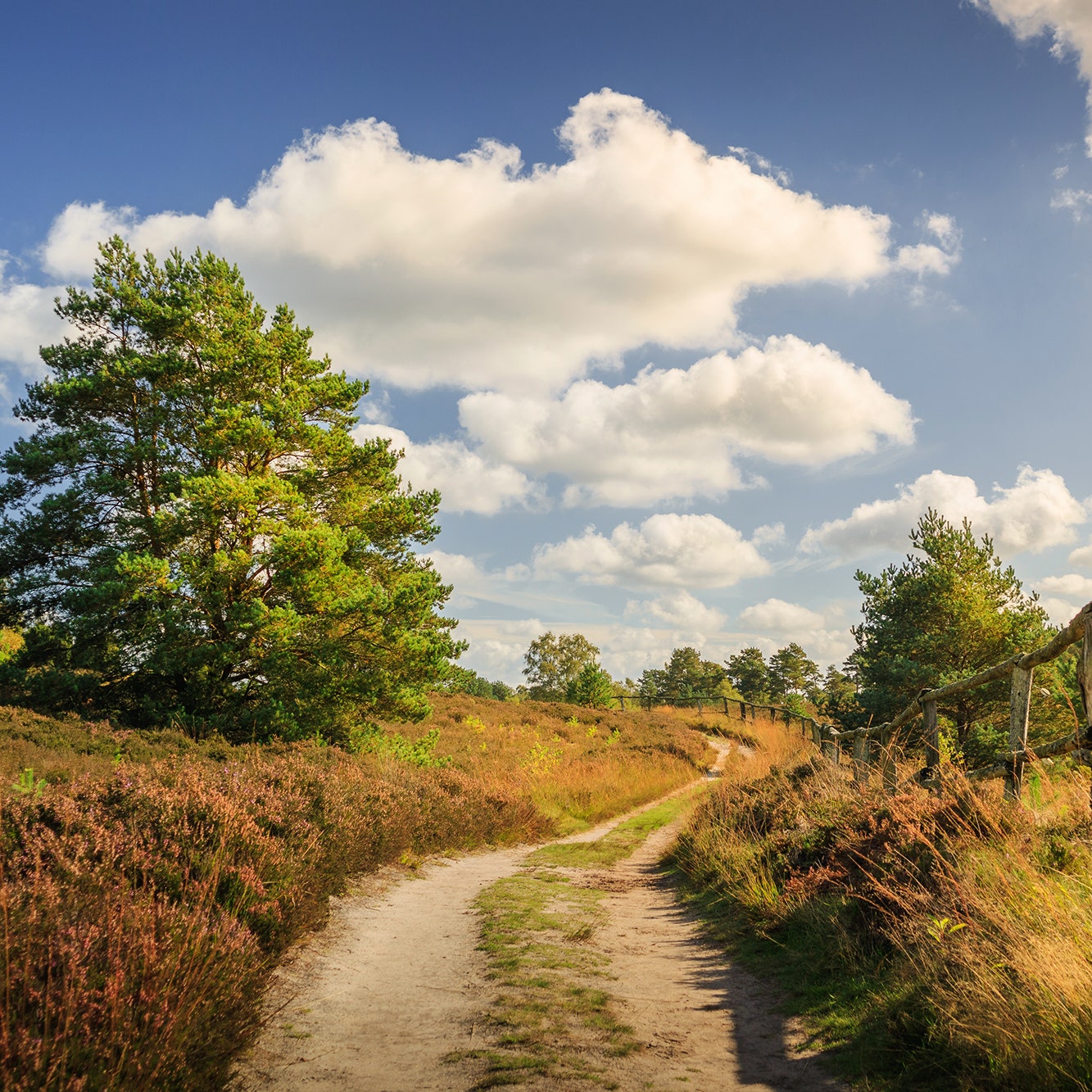 Wanderwege in Deutschland: Die 17 schönsten Routen