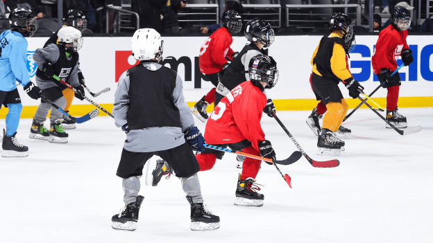 The Youth Hockey Inclusion Committee