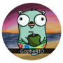 GopheRio Meetup profile image