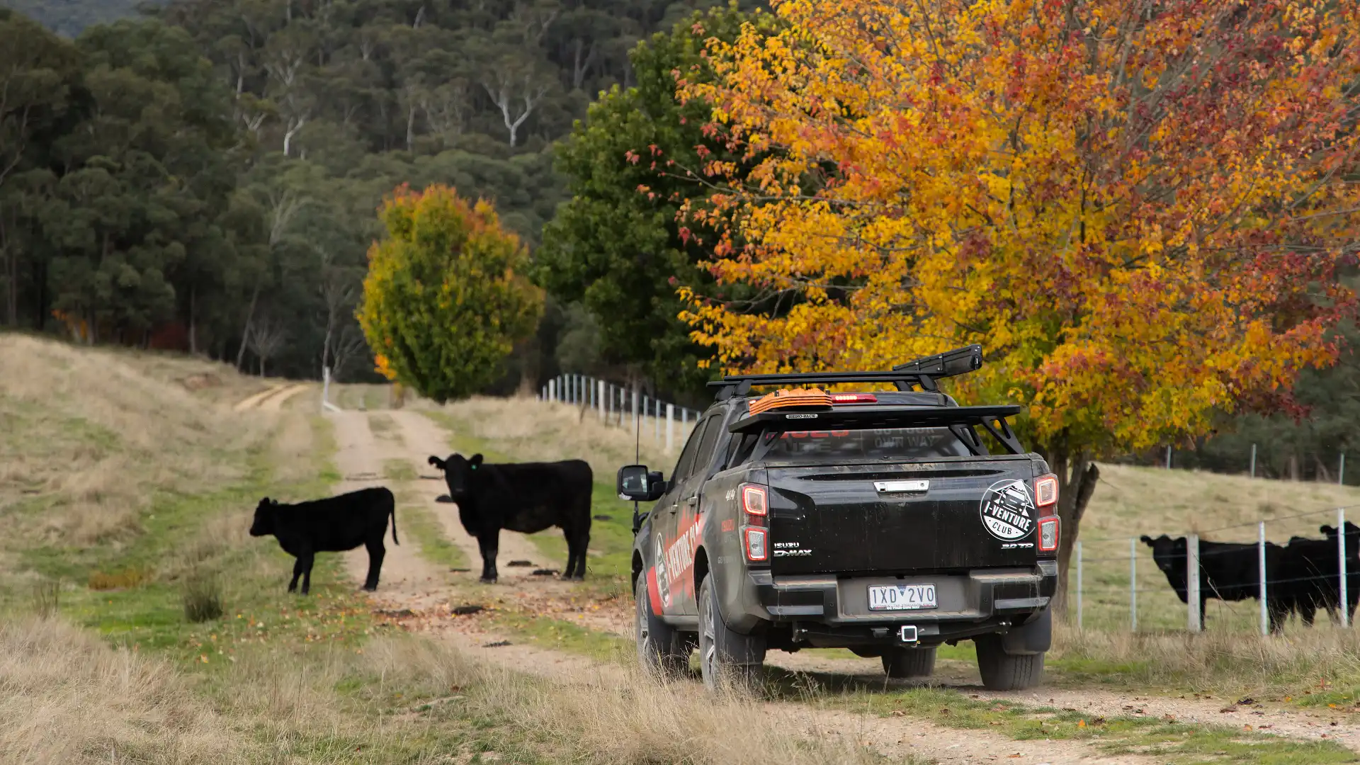 Dear Drive… How do I prepare for off-roading?