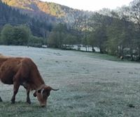 Euskal Herriko puntu askotan goiza hotza izan den arren, eguna eguzkitsua eta epela izango da