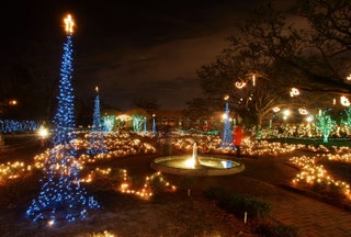 Celebración en los Robles Nueva Orleans Louisiana con jardines iluminados con luces navideñas